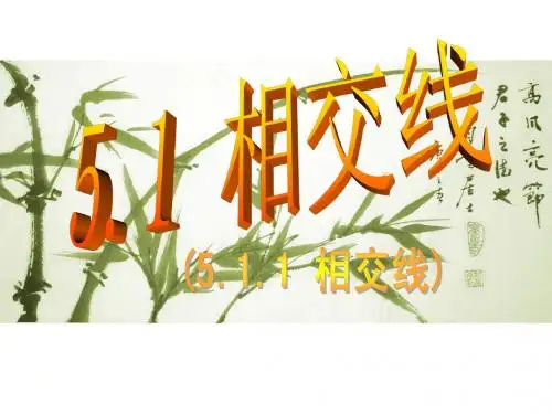 5.1.1 相交线(第1课时)2013