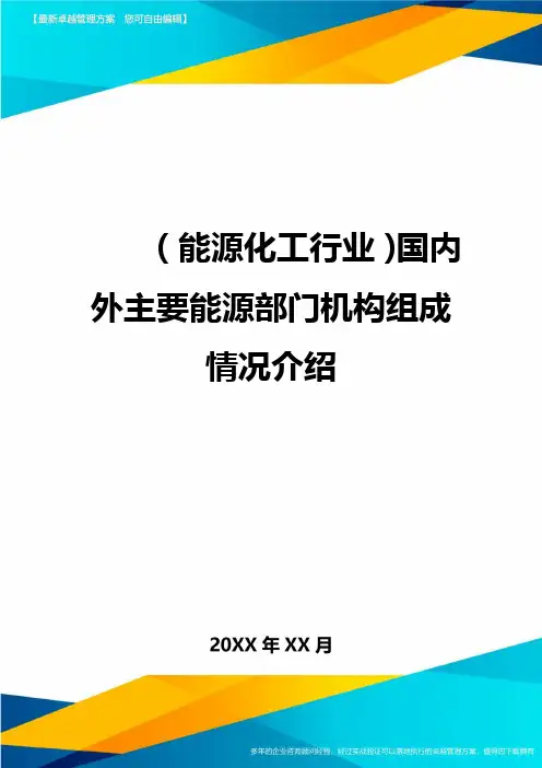 (能源化工行业)国内外主要能源部门机构组成情况介绍