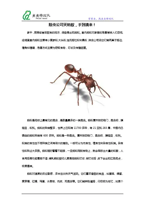 除虫公司灭蚂蚁,手到擒来!