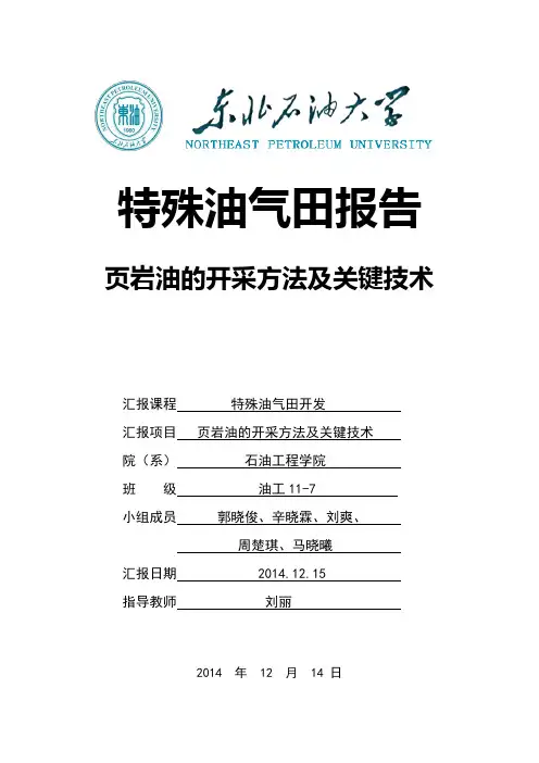 页岩油开采方法及关键技术