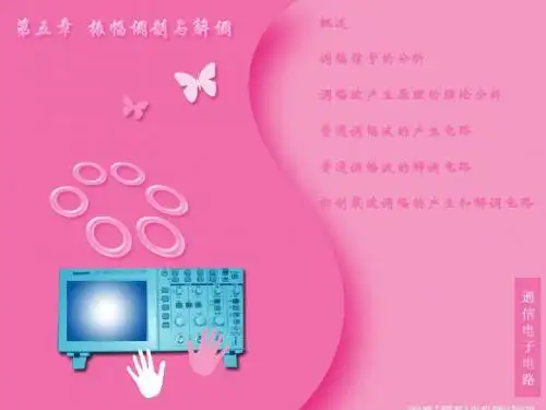 振幅调制与解调第5章..