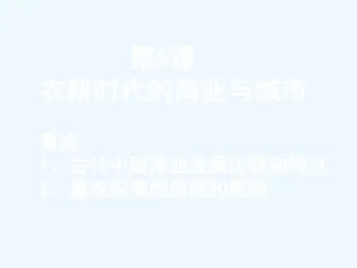 课农耕时代的商业与城市汇总
