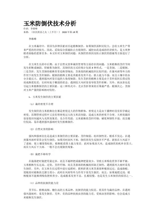 玉米防倒伏技术分析