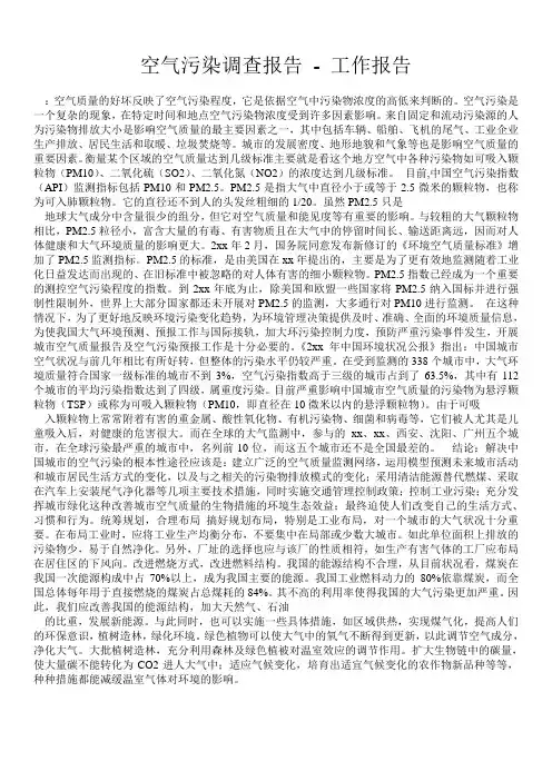 空气污染调查报告 - 工作报告 
