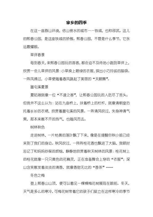 四年级作文：家乡的四季作文600字_3