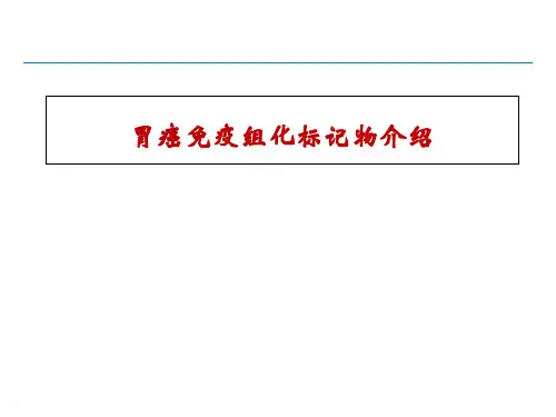 胃癌免疫组化标记物介绍参考课件