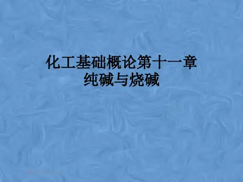 化工基础概论第十一章纯碱与烧碱