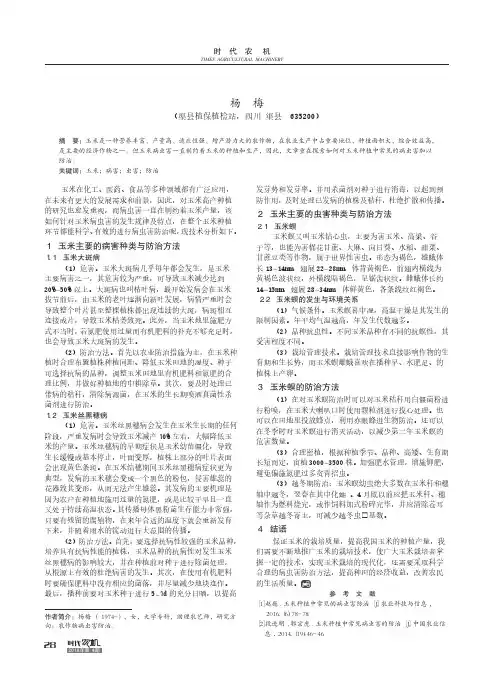 玉米种植中常见的病虫害防治