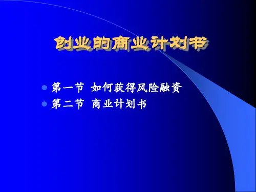 创业的商业计划书2