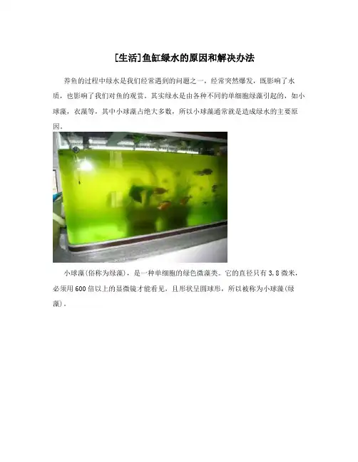 生活鱼缸绿水的原因和解决办法
