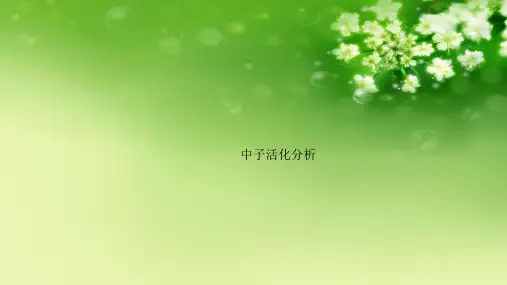 中子活化分析