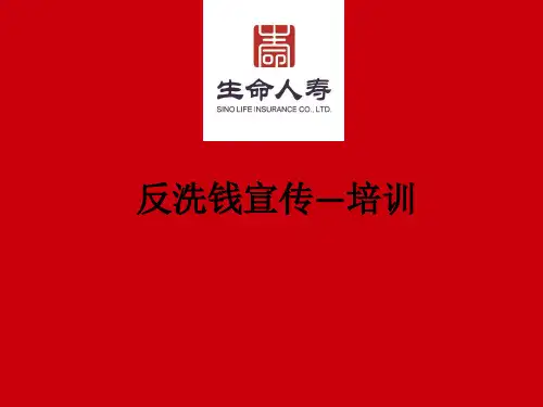 反洗钱宣传—培训ppt课件