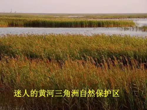 3.2河流的综合开发