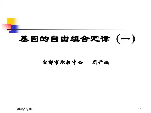 基因自由组合定律PPT优选课件