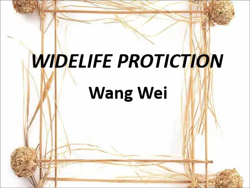 人教版英语必修2第四单元Wildlife公开课课件