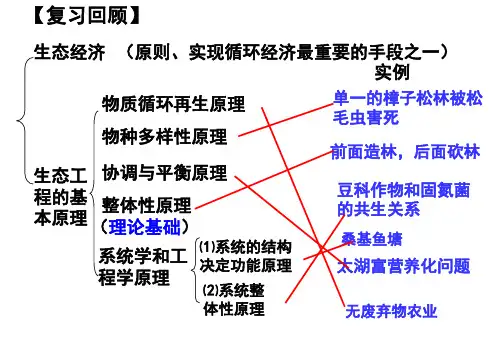 人教版高中生物选修三课件：5.2生态工程的实例和发展前景(52张PPT)