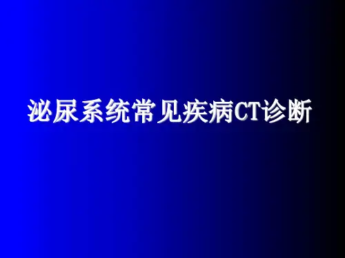 泌尿系统CT诊断学