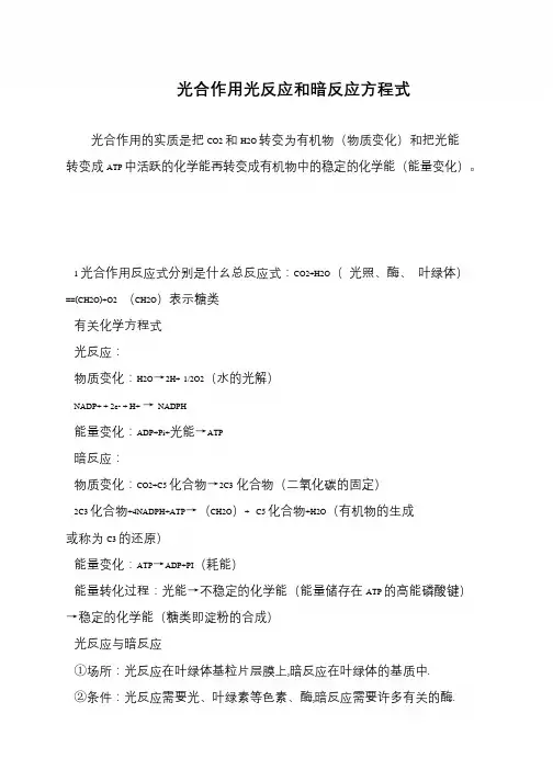 光合作用光反应和暗反应方程式