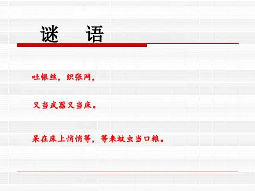 第一课 认识网络