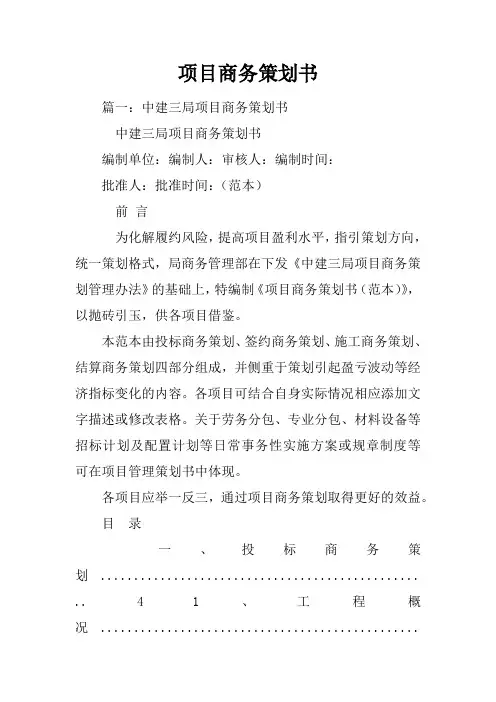 项目商务策划书