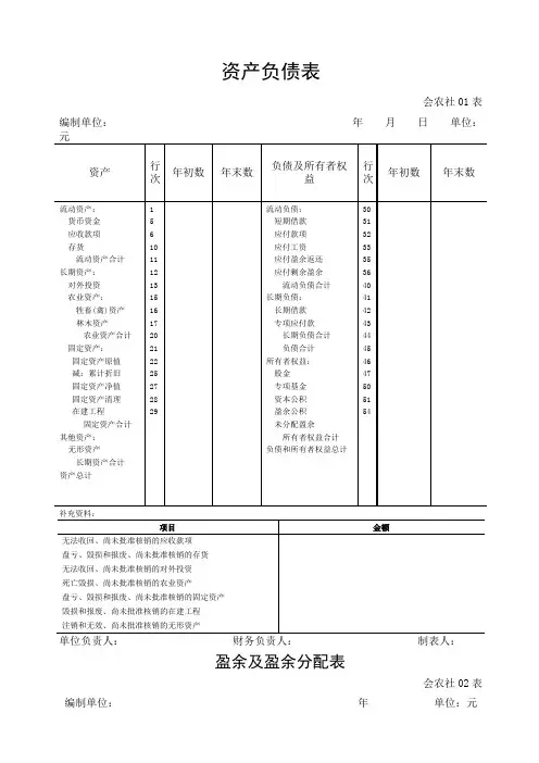农民专业合作社专业财务报表