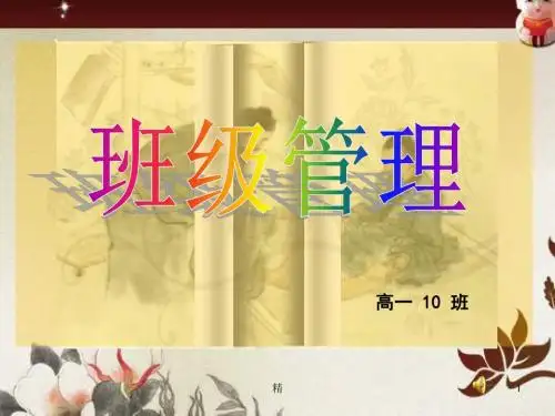 班级管理PPT分析精选课件