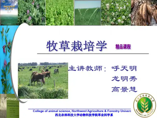 第二章-牧草饲料作物的生长发育