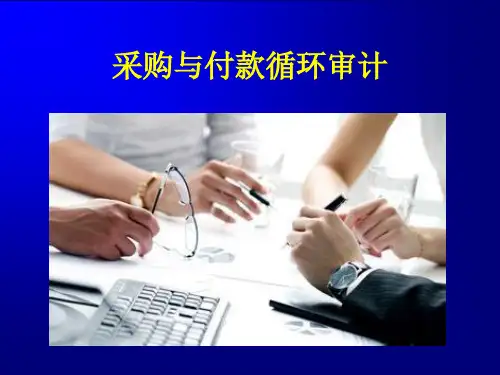 采购与付款循环审计 ppt课件