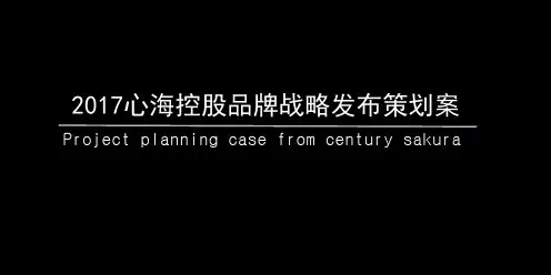 发布会活动方案执行案