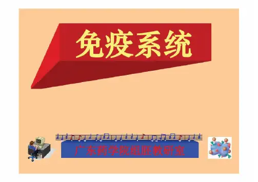 内分泌免疫系统