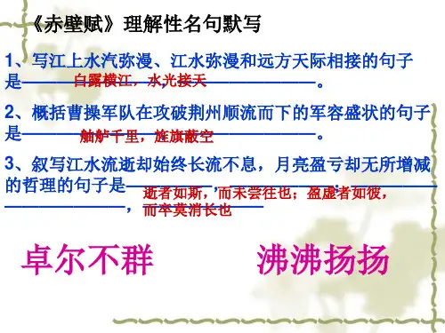 《赤壁赋》理解性名句默写解析 共17页