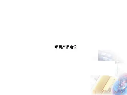 项目产品定位