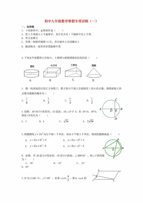 寒假初三数学专题训练题十套精编