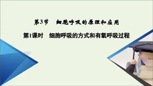 高中生物第5章细胞的能量供应和利用第3节第1课时细胞呼吸的方式和有氧呼吸过程课件新人教版必修1