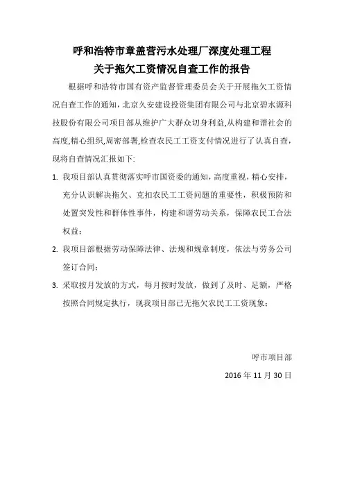 拖欠工资自查报告