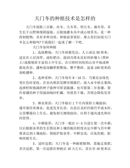 天门冬的种植技术是怎样的