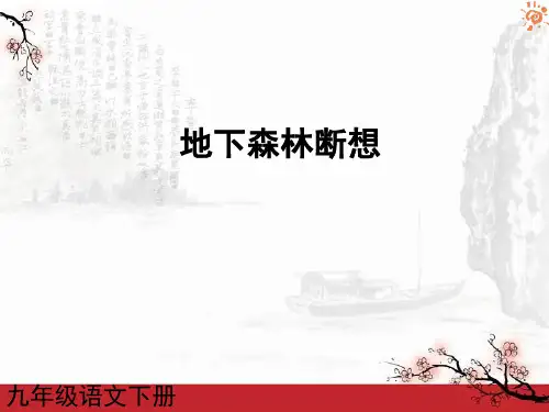 地下森林断想2课件