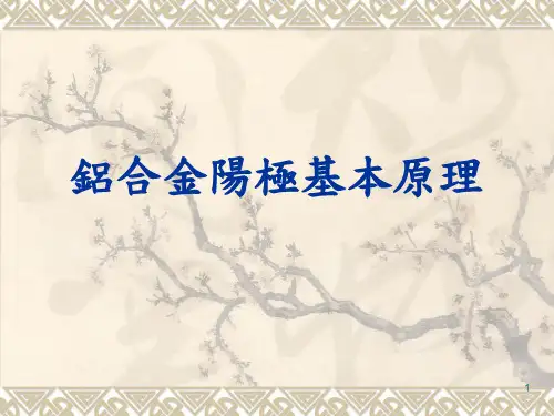 铝及铝合金阳极氧化基本原理介绍PPT