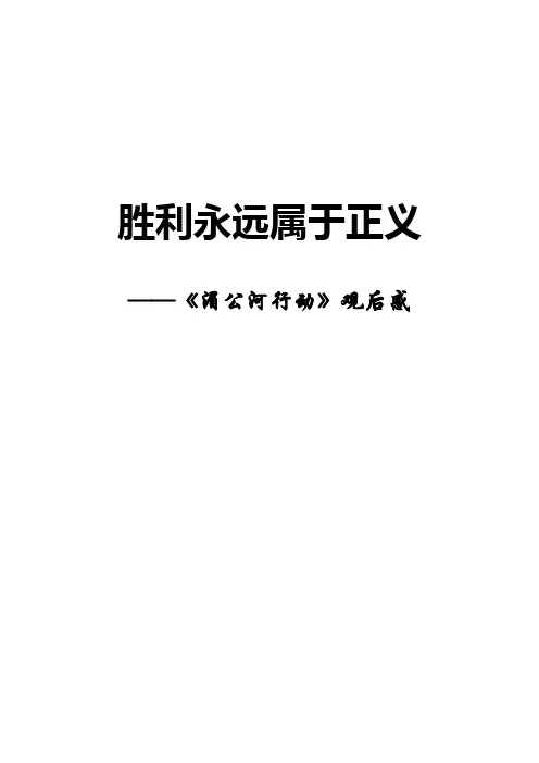 湄公河行动观后感 2