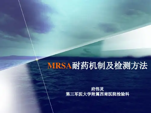 MRSA耐药机制及检测方法