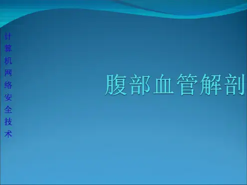 腹部血管解剖(静脉+动脉)