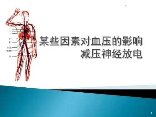 某些因素对血压的影响减压神经放电课件-文档资料