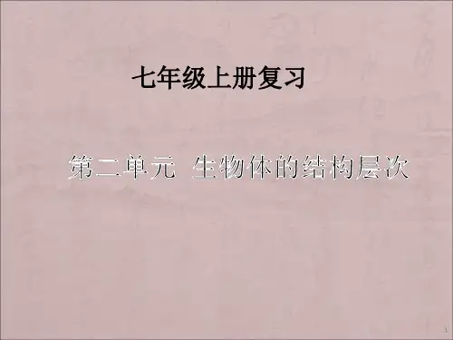 七年级上册生物第二单元 生物体的结构层次