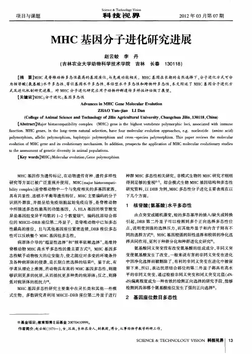 MHC基因分子进化研究进展