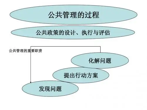 《公共管理学》第五讲 公共管理的过程