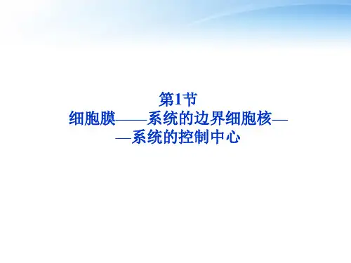 江苏专用2012高考生物总复习 第3章第1节细胞膜——系统的边界细胞核——系统的控制中心课件 新人教版必修1