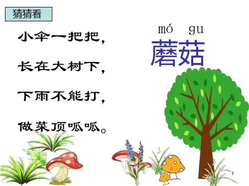 (新编苏教版一年级下册语文)6《蘑菇该奖给谁》PPT课件