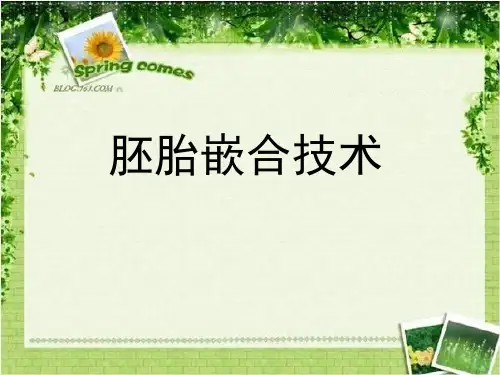 胚胎嵌合技术