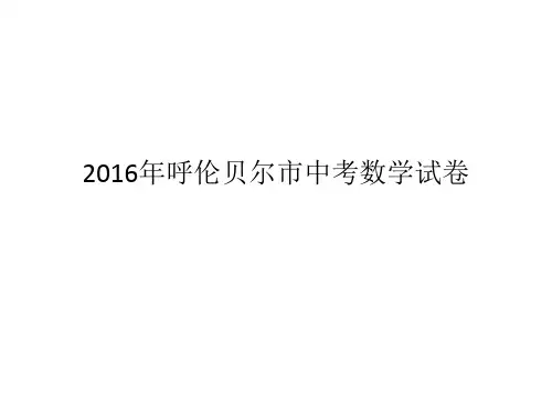 2016年呼伦贝尔市中考数学