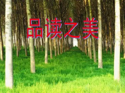 品读之美2017